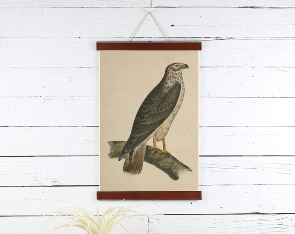 Bird - Poster Frame