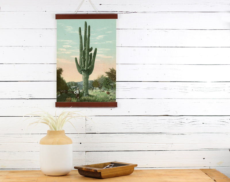 Cactus Flower - Poster Frame