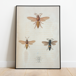 Bees - 12"x18" Poster