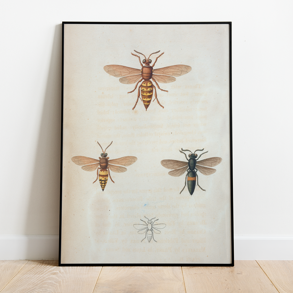 Bees - 12"x18" Poster