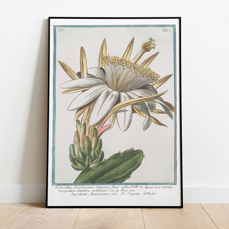 Cactus Flower - 12"x18" Poster