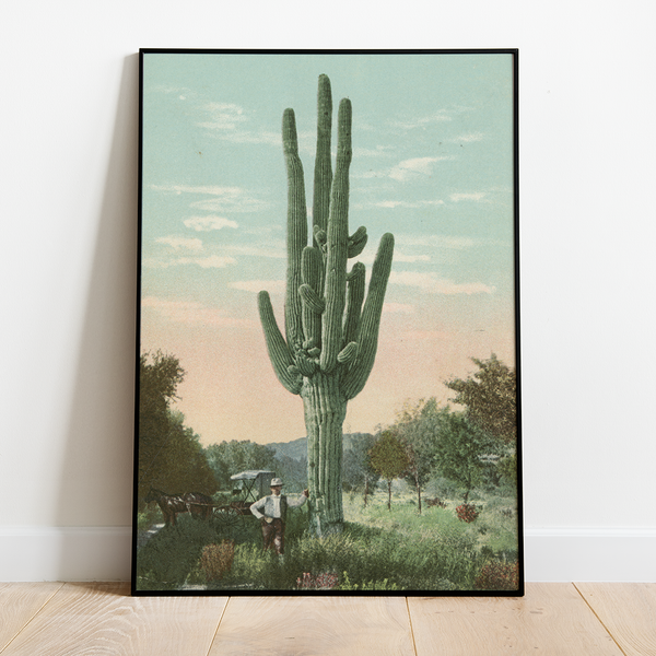 Cactus - 12"x18" Poster