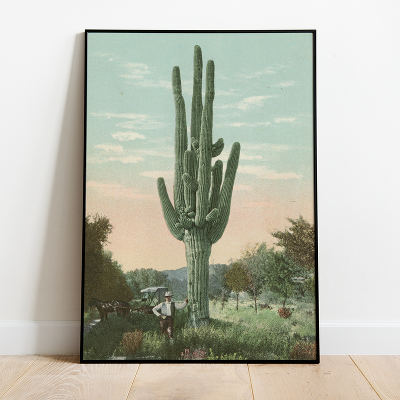 Cactus - 12"x18" Poster