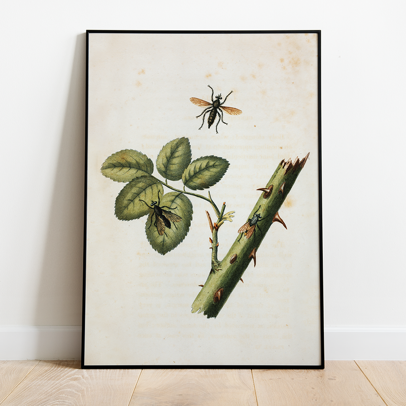 Rose Thorns - 12"x18" Poster