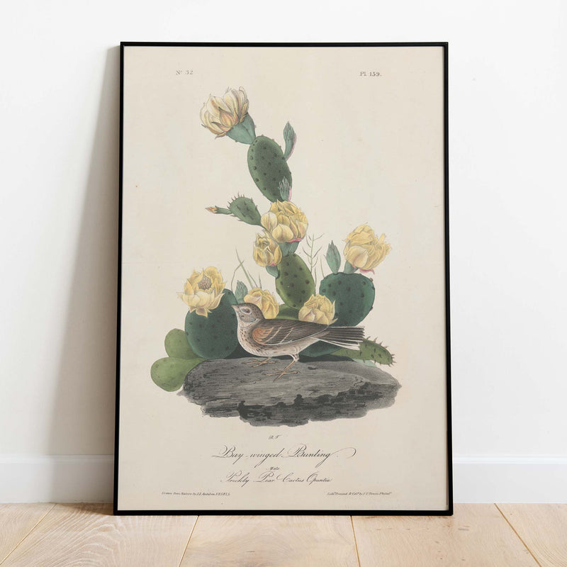 Flower Bird - 12"x18" Poster