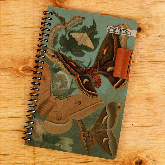 Metamorphosis - Notebook
