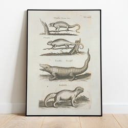 Reptiles - 12"x18" Poster