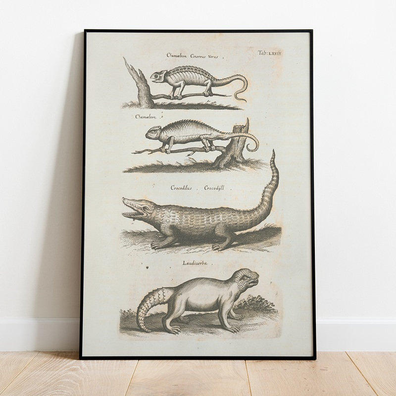 Reptiles - 12"x18" Poster
