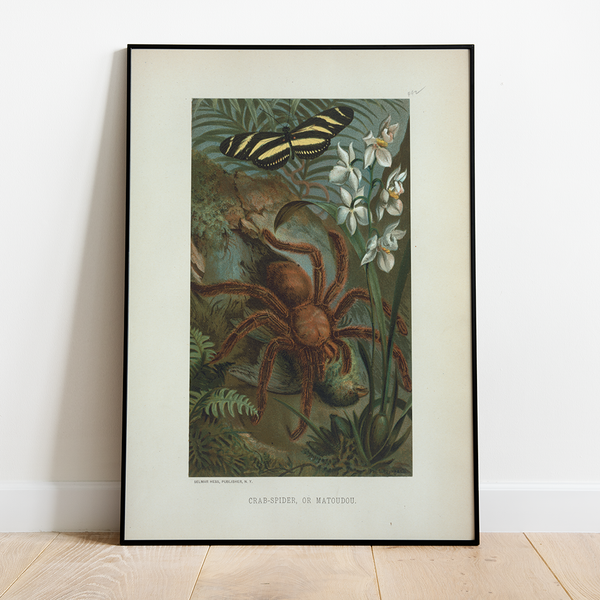 Spider - 12"x18" Poster
