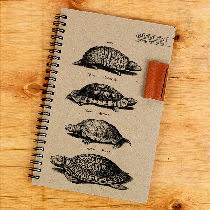 Turtles - Notebook