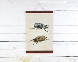 Beetles - Poster Frame