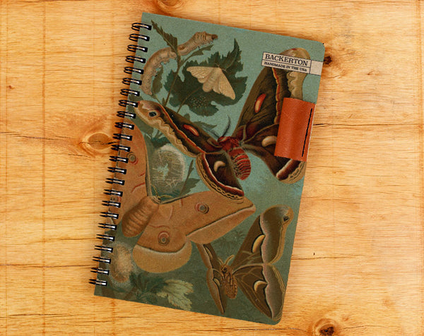 Metamorphosis - Notebook