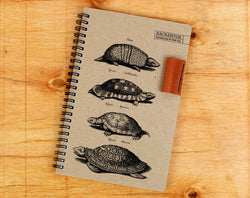 Turtles - Notebook