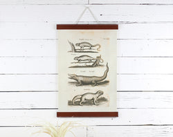 Reptiles - Poster Frame