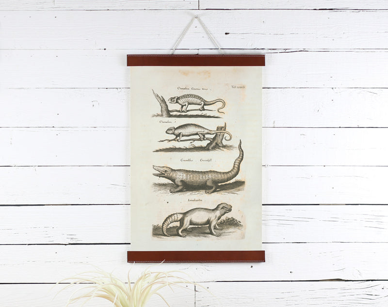 Reptiles - Poster Frame