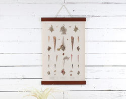 Sea Shells - Poster Frame