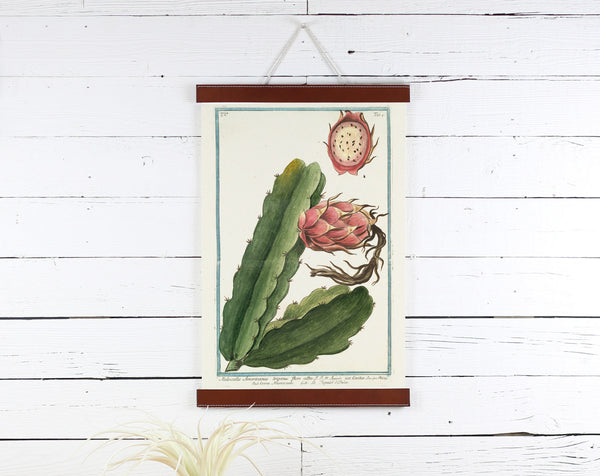 Cactus Fruit - Poster Frame