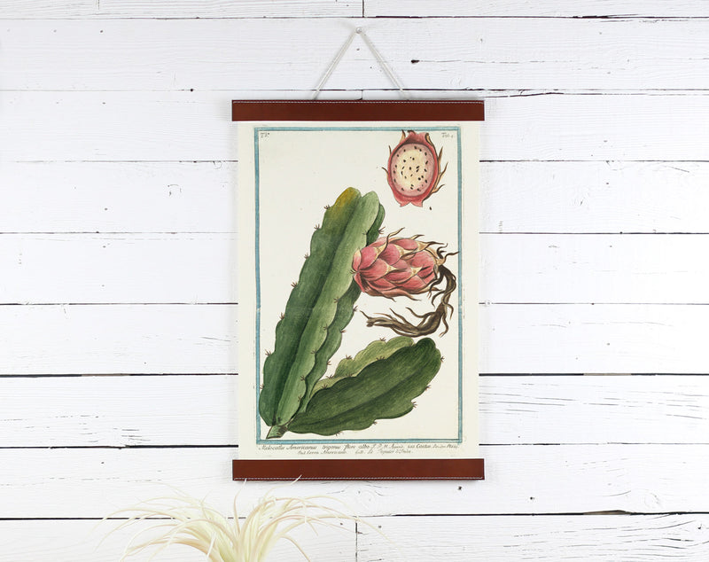 Cactus Fruit - Poster Frame