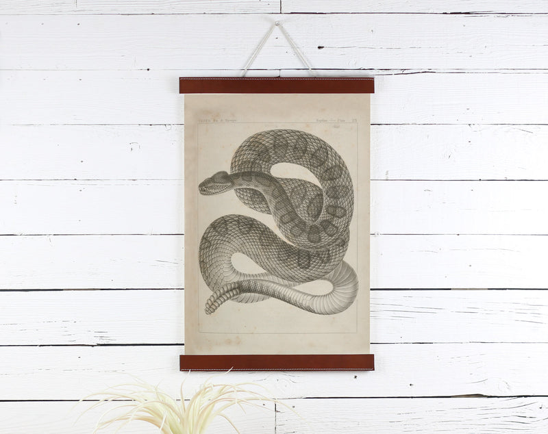Snake - Poster Frame