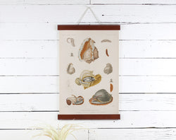 Snails - Poster Frame