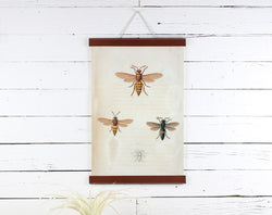 Bees - Poster Frame