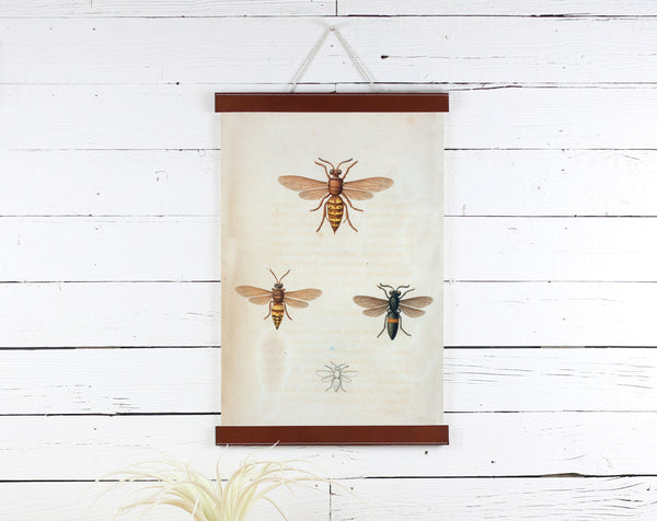Bees - Poster Frame