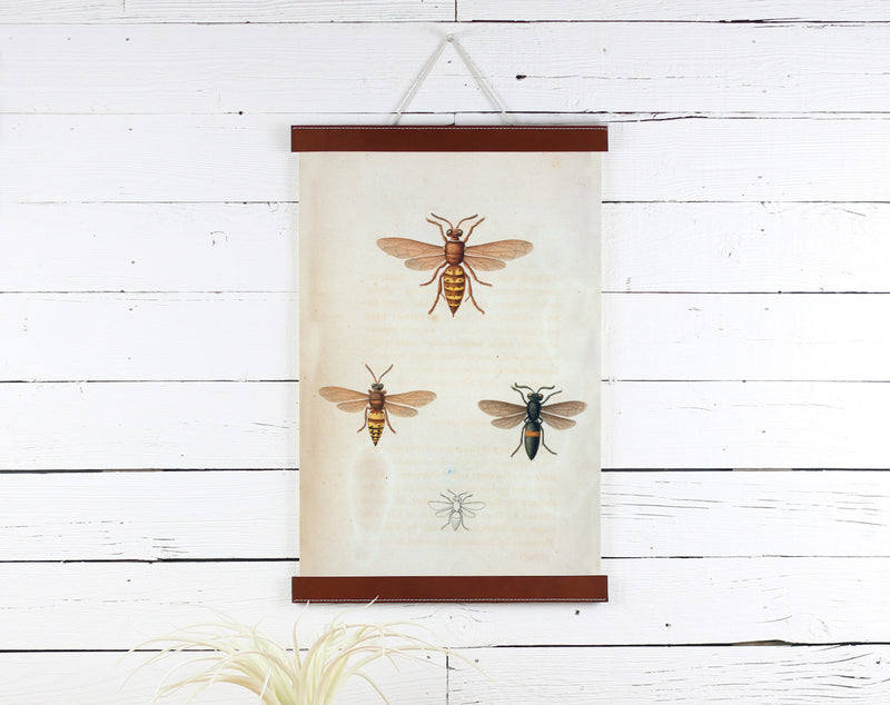 Bees - Poster Frame