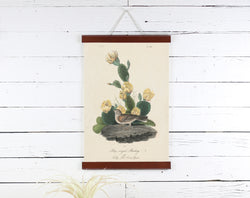Flower Bird - Poster Frame