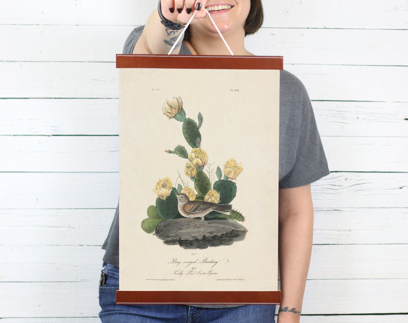 Insects - Poster Frame